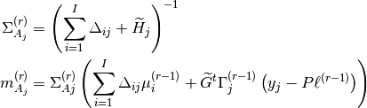 \Sigma^{(r)}_{A_{j}} &= \left( \sum\limits^{I}_{i=1} \Delta_{ij} + \widetilde{H}_{j} \right)^{-1} \\
m^{(r)}_{A_{j}} &= \Sigma^{(r)}_{A{j}} \left( \sum\limits^{I}_{i=1} \Delta_{ij} \mu_{i}^{(r-1)} + \widetilde{G}^{t}\Gamma_{j}^{(r-1)}\left(y_{j} - P\ell^{(r-1)} \right)\right)